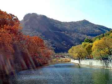 管家婆黑白马报图库，野兔价格